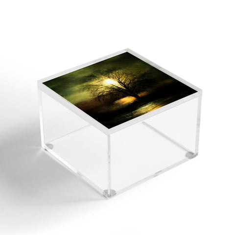 Viviana Gonzalez Energy From The Sun Acrylic Box