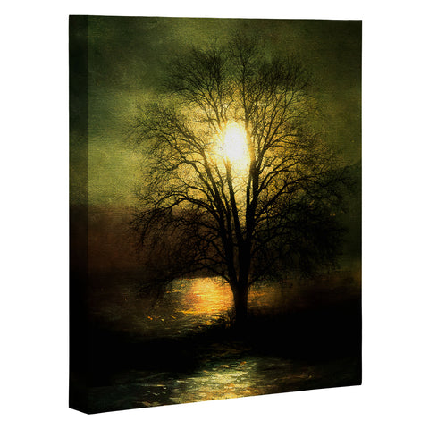 Viviana Gonzalez Energy From The Sun Art Canvas