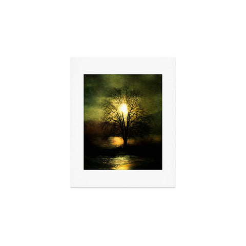 Viviana Gonzalez Energy From The Sun Art Print