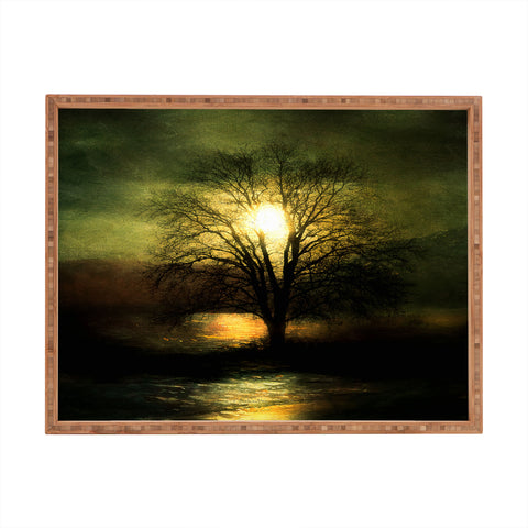 Viviana Gonzalez Energy From The Sun Rectangular Tray