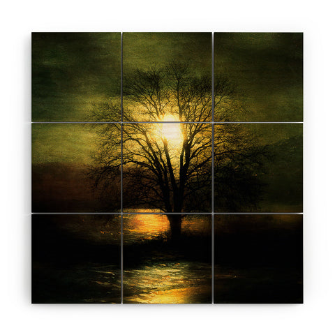 Viviana Gonzalez Energy From The Sun Wood Wall Mural