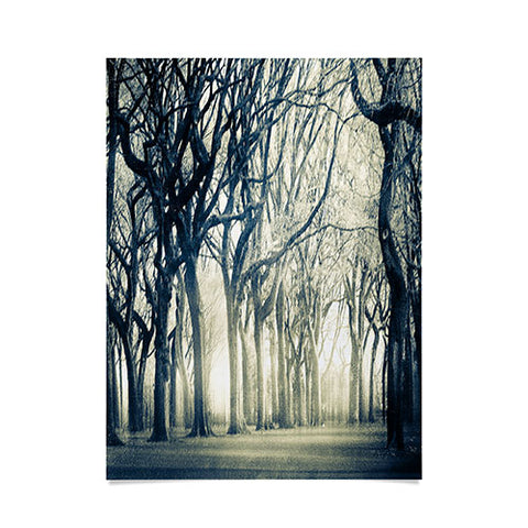 Viviana Gonzalez Forest I Poster