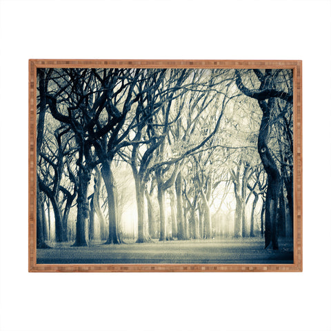 Viviana Gonzalez Forest I Rectangular Tray