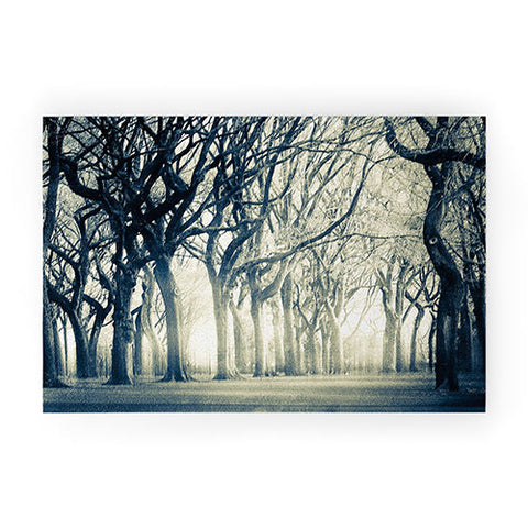 Viviana Gonzalez Forest I Welcome Mat