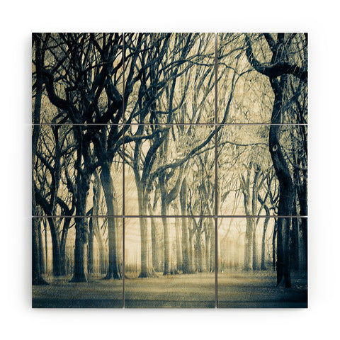Viviana Gonzalez Forest I Wood Wall Mural