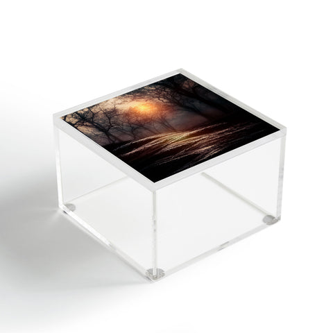 Viviana Gonzalez From Small Beginnings And Big Endings Acrylic Box