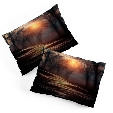 Viviana Gonzalez From Small Beginnings And Big Endings Pillow Shams