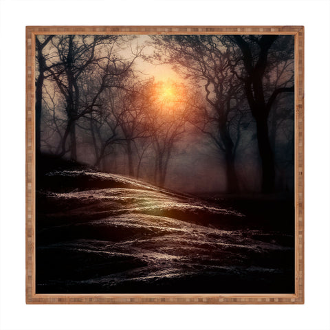 Viviana Gonzalez From Small Beginnings And Big Endings Square Tray