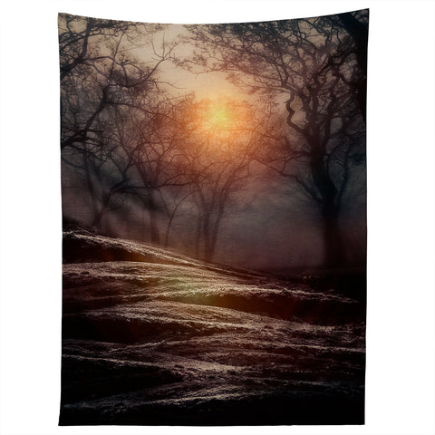 Viviana Gonzalez From Small Beginnings And Big Endings Tapestry