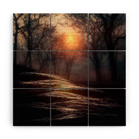 Viviana Gonzalez From Small Beginnings And Big Endings Wood Wall Mural