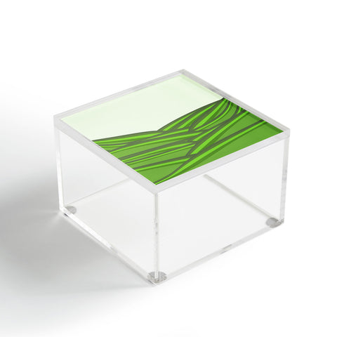 Viviana Gonzalez Greenery Sensation 02 Acrylic Box