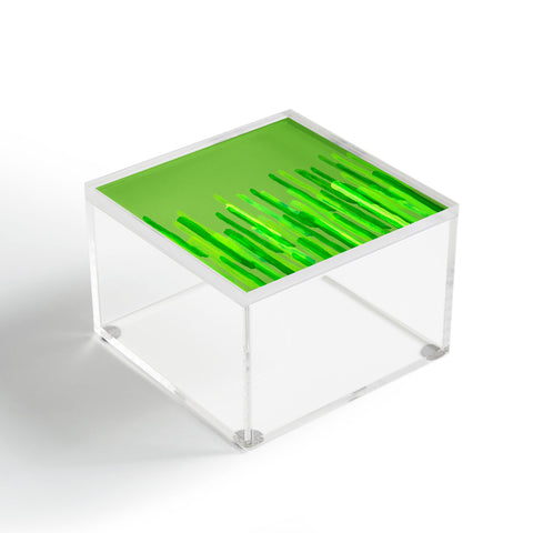 Viviana Gonzalez Greenery Sensation 04 Acrylic Box