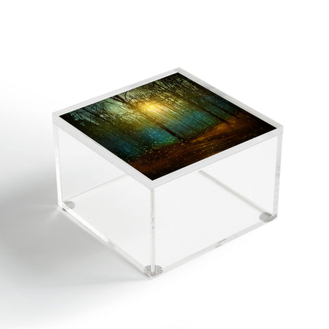 Viviana Gonzalez In winter enjoy 02 Acrylic Box