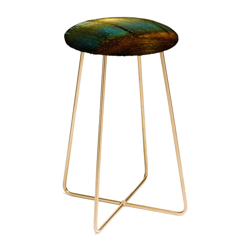 Viviana Gonzalez In winter enjoy 02 Counter Stool