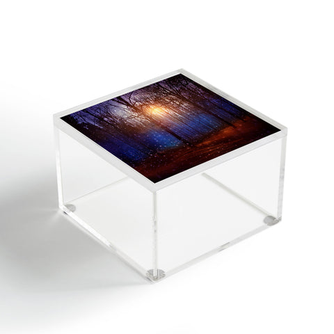 Viviana Gonzalez In Winter Enjoy Acrylic Box