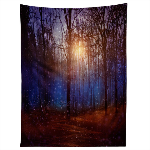 Viviana Gonzalez In Winter Enjoy Tapestry