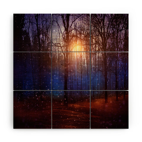 Viviana Gonzalez In Winter Enjoy Wood Wall Mural