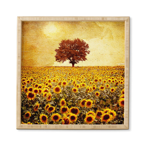 Viviana Gonzalez Lone Tree And Sunflowers Field Framed Wall Art