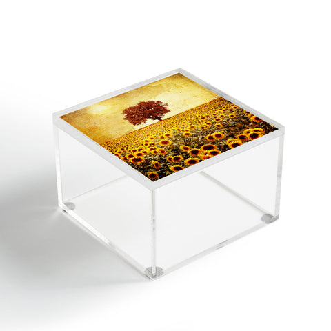 Viviana Gonzalez Lone Tree And Sunflowers Field Acrylic Box