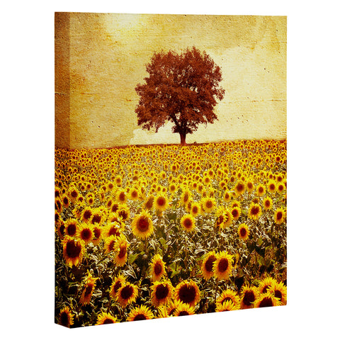 Viviana Gonzalez Lone Tree And Sunflowers Field Art Canvas