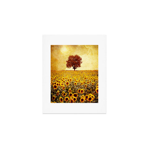 Viviana Gonzalez Lone Tree And Sunflowers Field Art Print