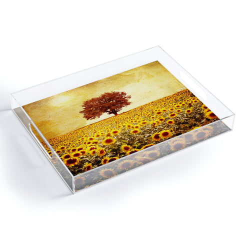 Viviana Gonzalez Lone Tree And Sunflowers Field Acrylic Tray