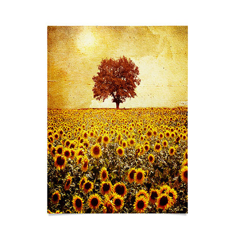 Viviana Gonzalez Lone Tree And Sunflowers Field Poster