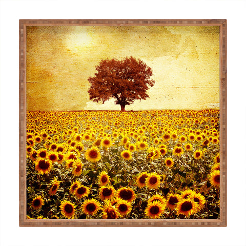 Viviana Gonzalez Lone Tree And Sunflowers Field Square Tray