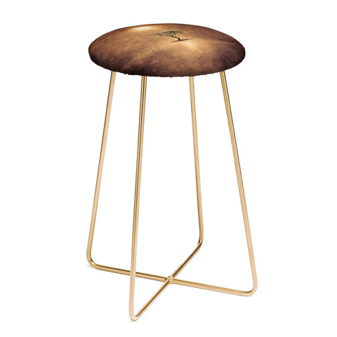 Viviana Gonzalez Magical Shinning Counter Stool