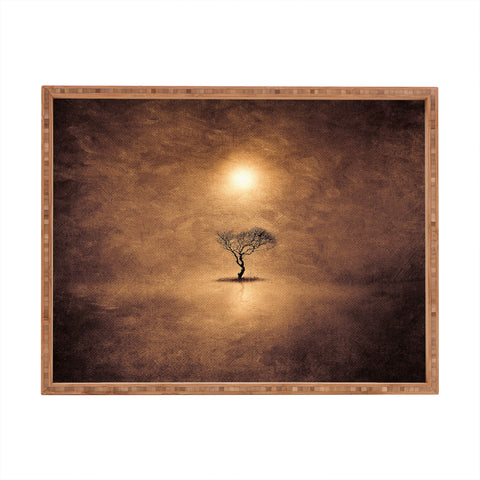 Viviana Gonzalez Magical Shinning Rectangular Tray