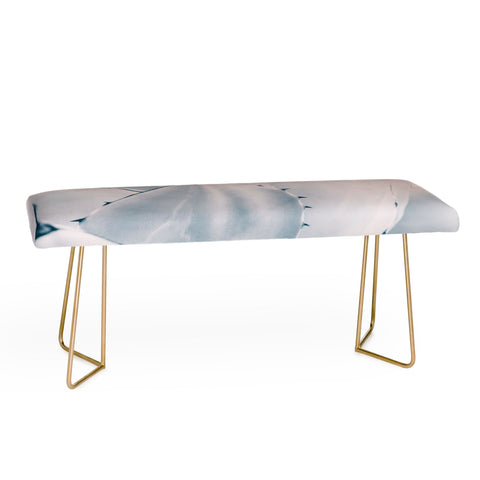 Viviana Gonzalez Minimal Spring II Bench
