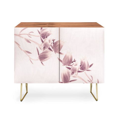 Viviana Gonzalez Minimal Spring III Credenza