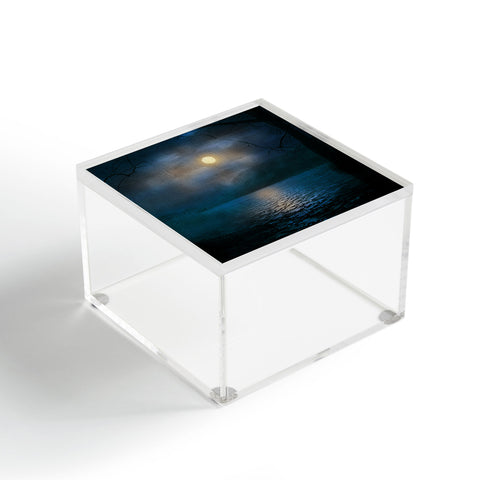 Viviana Gonzalez Sounds of the Moon Acrylic Box