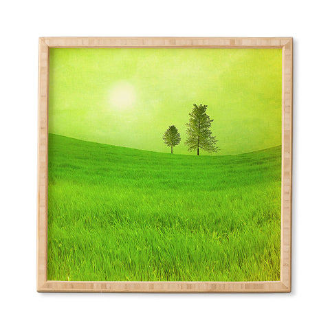 Viviana Gonzalez Trees And Shinning Field I Framed Wall Art