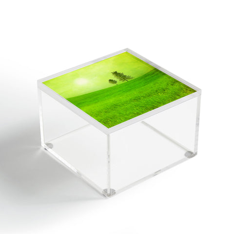 Viviana Gonzalez Trees And Shinning Field I Acrylic Box