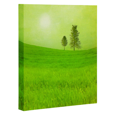 Viviana Gonzalez Trees And Shinning Field I Art Canvas