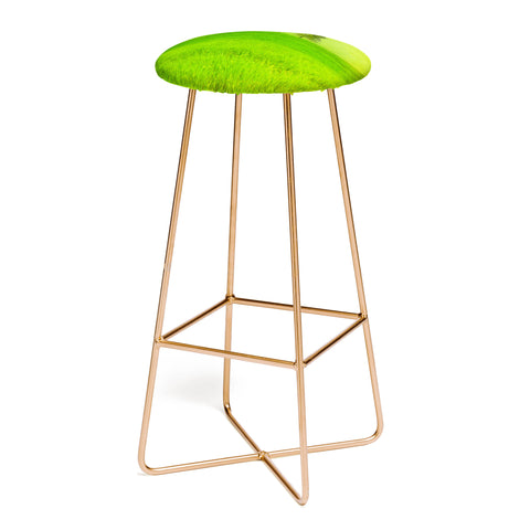 Viviana Gonzalez Trees And Shinning Field I Bar Stool