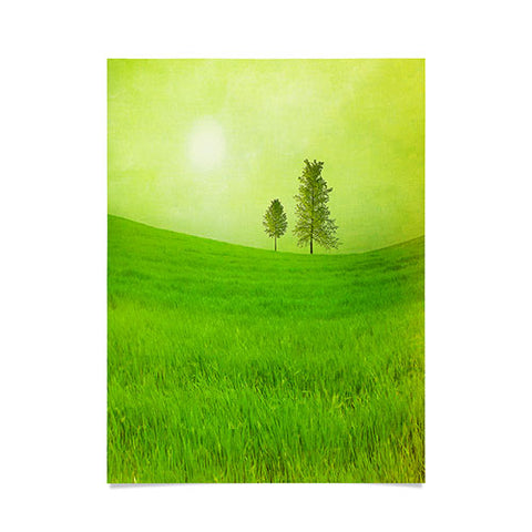 Viviana Gonzalez Trees And Shinning Field I Poster