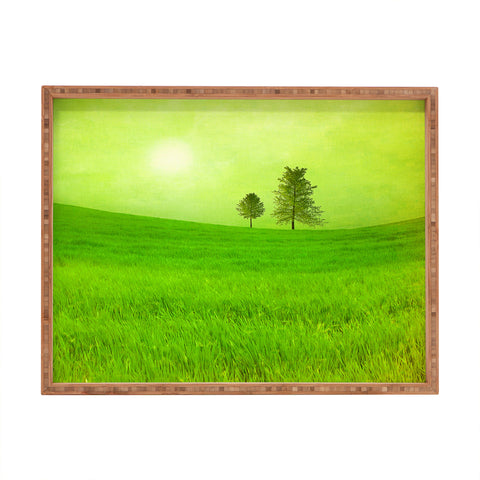 Viviana Gonzalez Trees And Shinning Field I Rectangular Tray