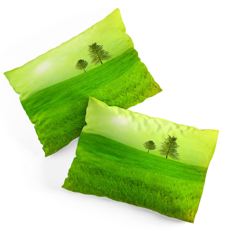 Viviana Gonzalez Trees And Shinning Field I Pillow Shams