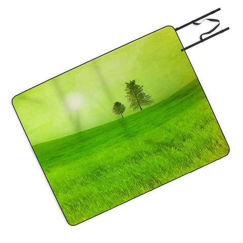 Viviana Gonzalez Trees And Shinning Field I Picnic Blanket
