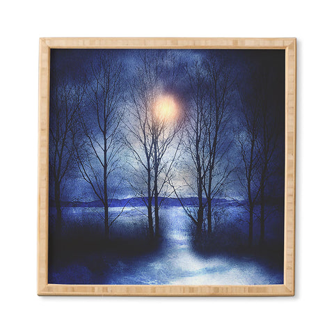 Viviana Gonzalez Winter Sonata Framed Wall Art