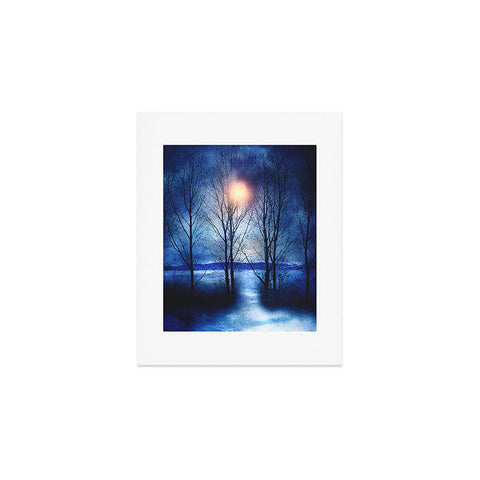 Viviana Gonzalez Winter Sonata Art Print