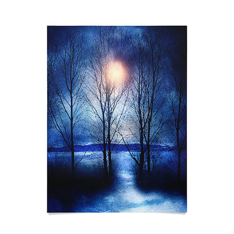 Viviana Gonzalez Winter Sonata Poster