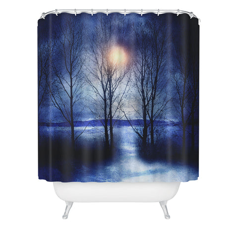 Viviana Gonzalez Winter Sonata Shower Curtain