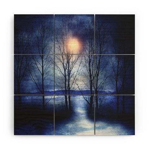 Viviana Gonzalez Winter Sonata Wood Wall Mural