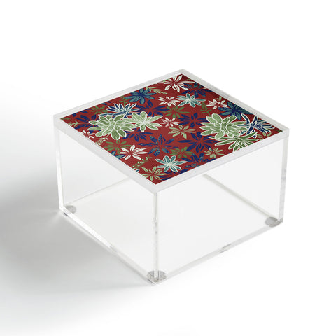 Wagner Campelo Bromelias 3 Acrylic Box