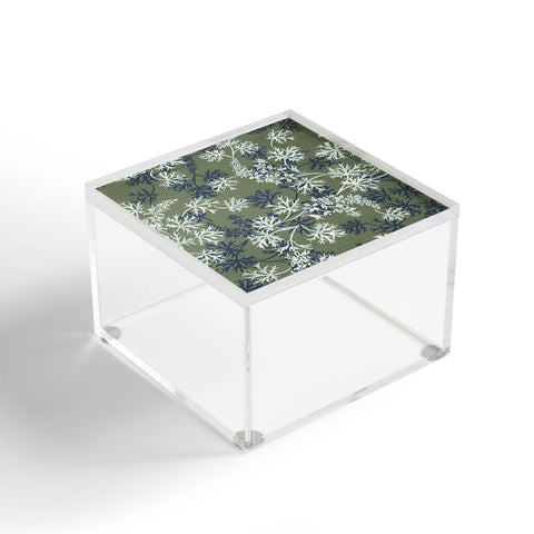Wagner Campelo Garden Weeds 3 Acrylic Box