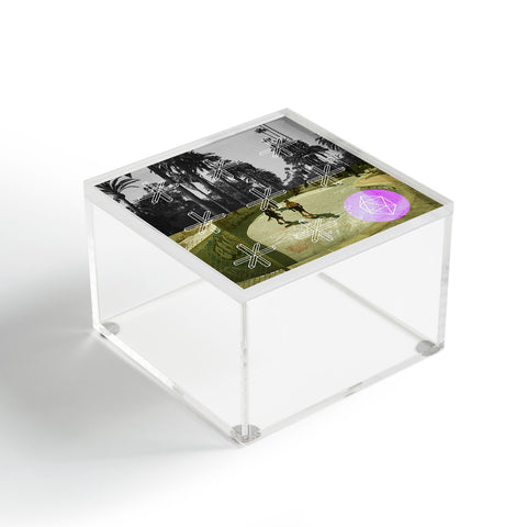 Wesley Bird Geo Skaters Acrylic Box