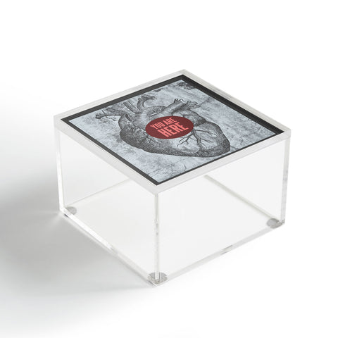 Wesley Bird You Are Here Acrylic Box